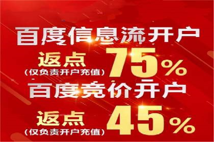 搜索引擎营销（SEM）成功运营的五大案例